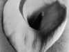 Tina Modotti