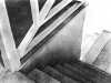 Tina Modotti